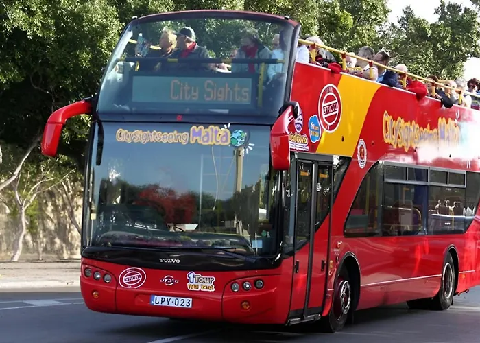 Comfy Area By Buena Vista *