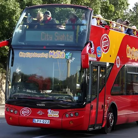 Comfy Area By Buena Vista *