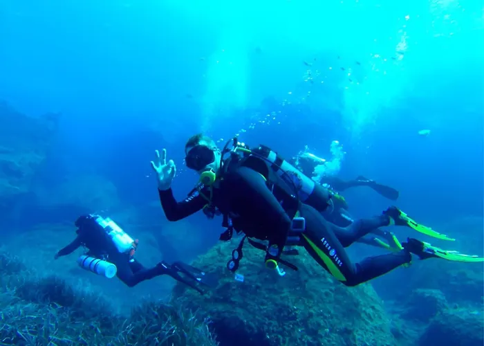 Apartament Comfy Area By Buena Vista