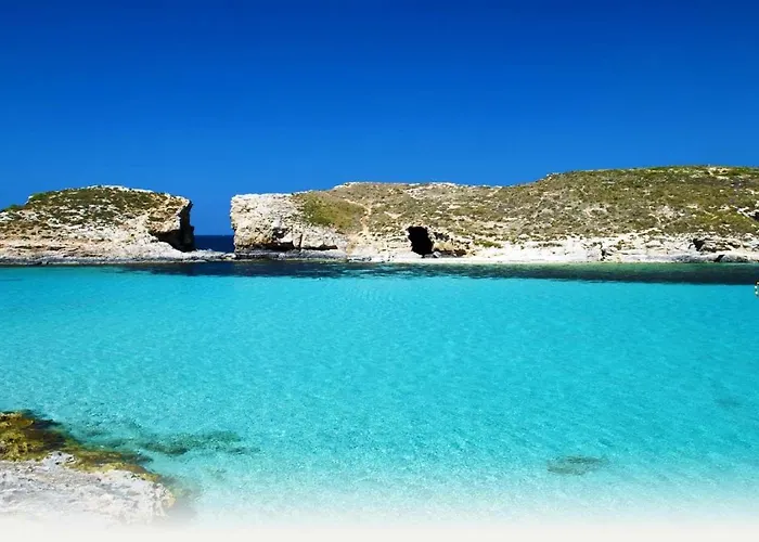 Comfy Area By Buena Vista *